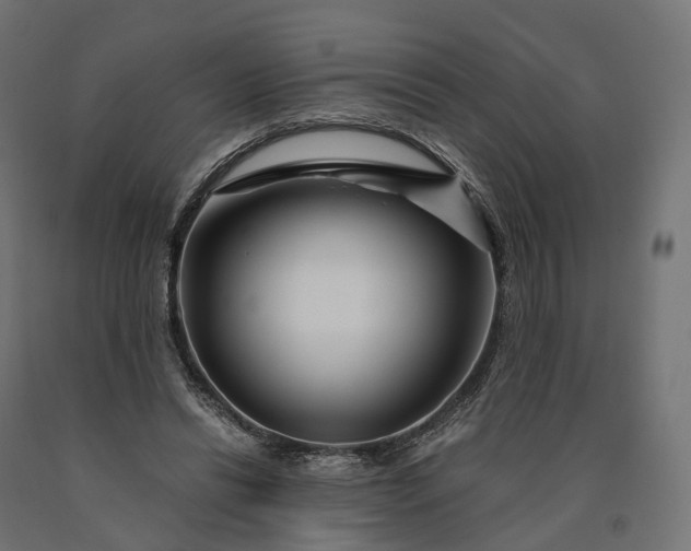 X0000090760446200708031634