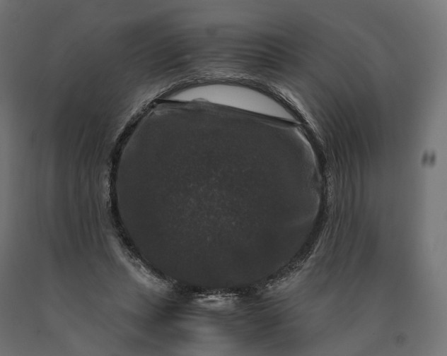 X0000090760447200708031634