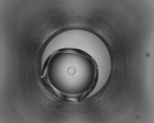 X0000090760448200708031634