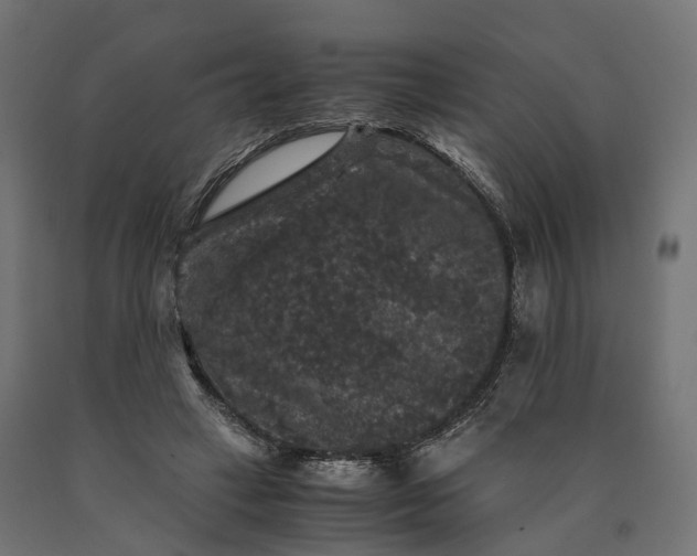 X0000090760449200708031634