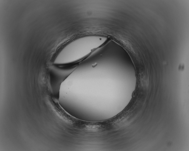 X0000090760450200708031634