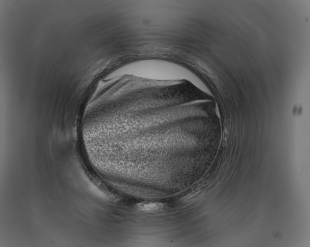 X0000090760452200708031634