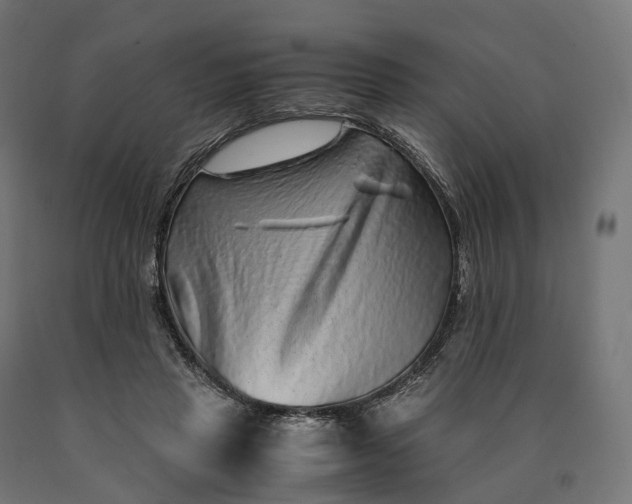 X0000090760453200708031634