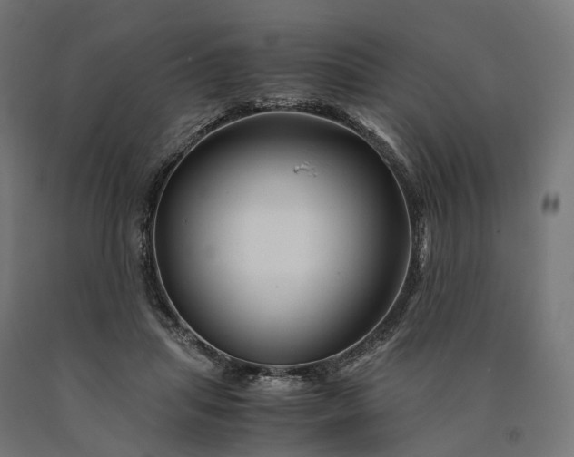 X0000090760455200708031634