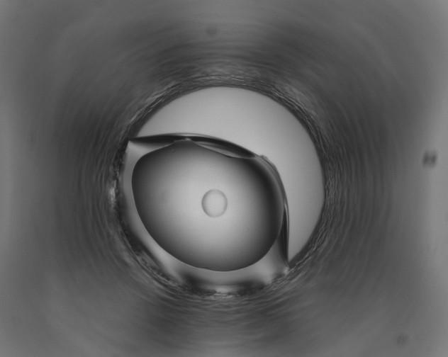 X0000090760456200708031634