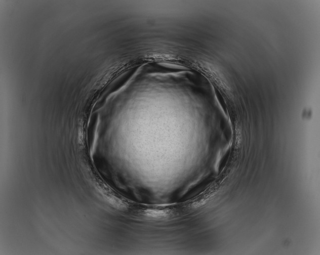 X0000090760457200708031634