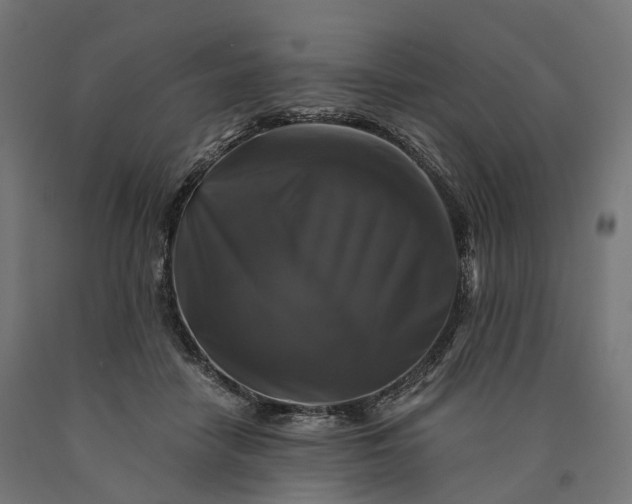 X0000090760458200708031634