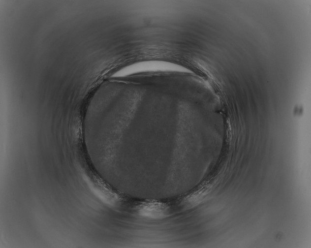 X0000090760459200708031634