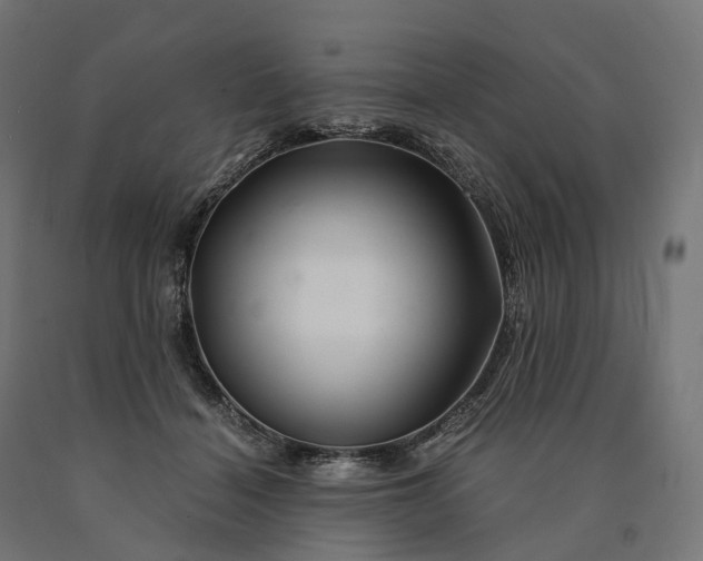 X0000090760460200708031634