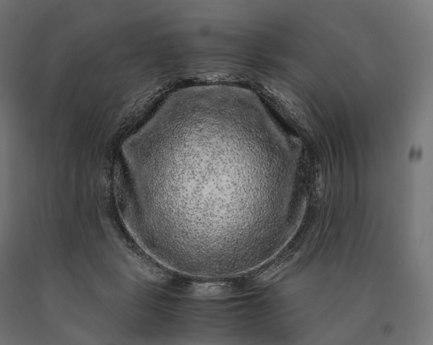 X0000090760461200708031634