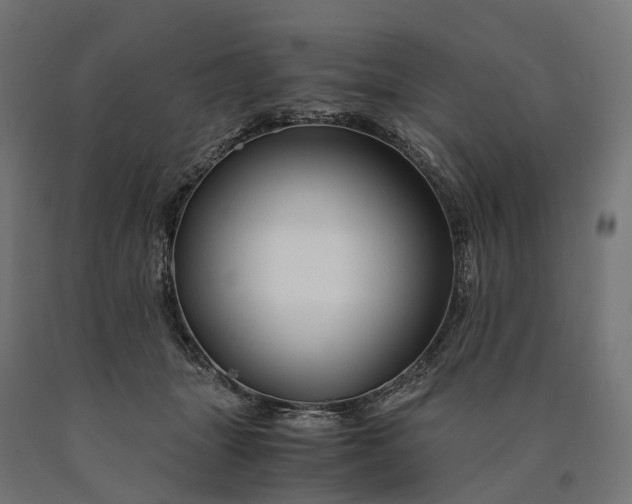 X0000090760463200708031634