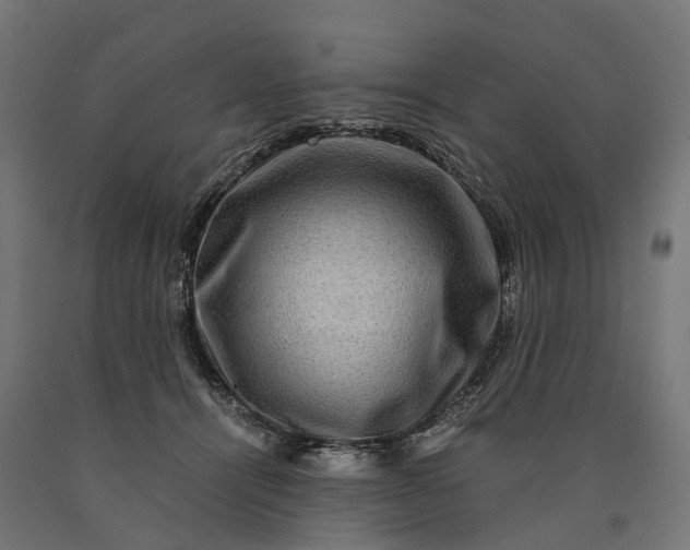 X0000090760464200708031634