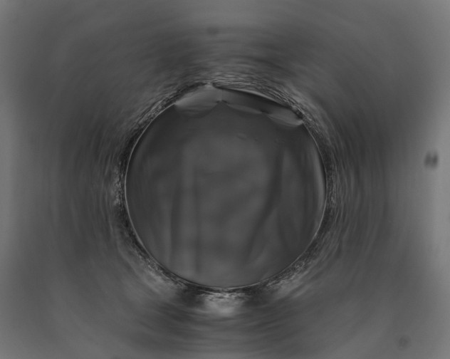 X0000090760465200708031634