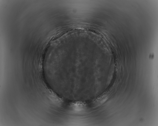 X0000090760466200708031634