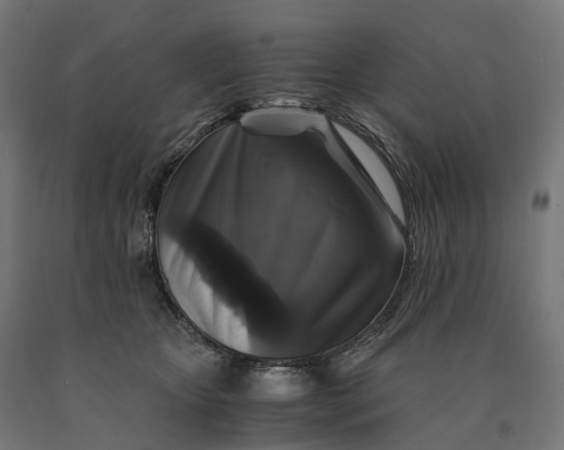 X0000090760467200708031634