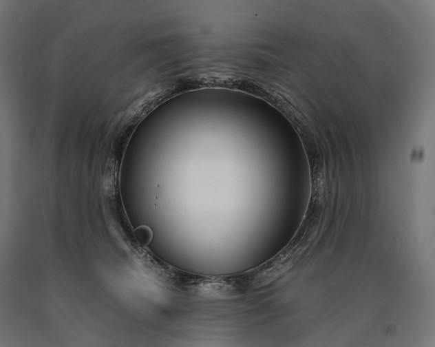 X0000090760468200708031634