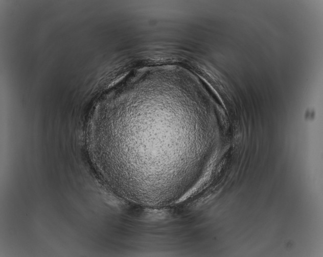 X0000090760469200708031634