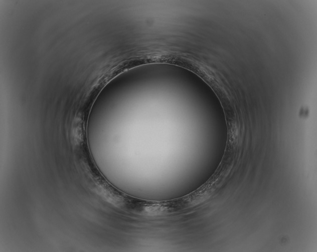 X0000090760470200708031634