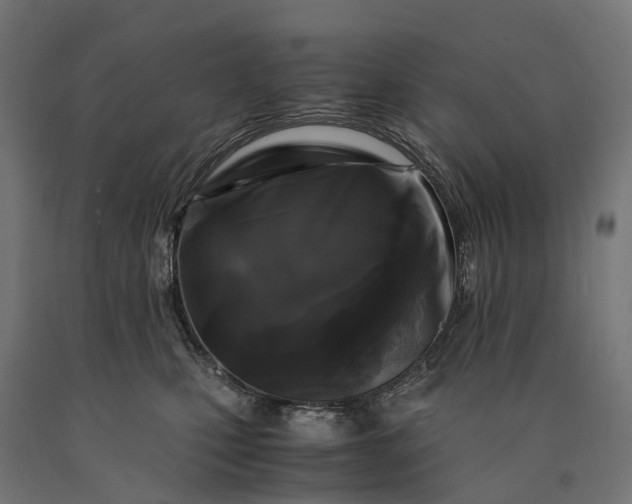 X0000090760471200708031634