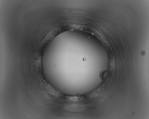 X0000090760473200708031634