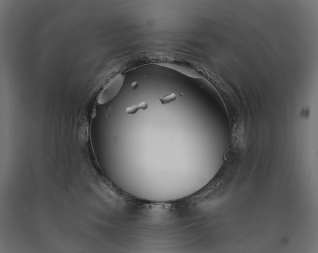 X0000090760474200708031634