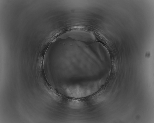 X0000090760475200708031634