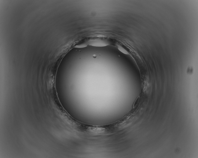 X0000090760476200708031634