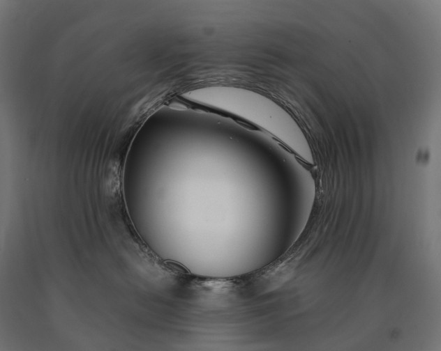 X0000090760478200708031634