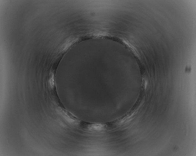 X0000090760479200708031634