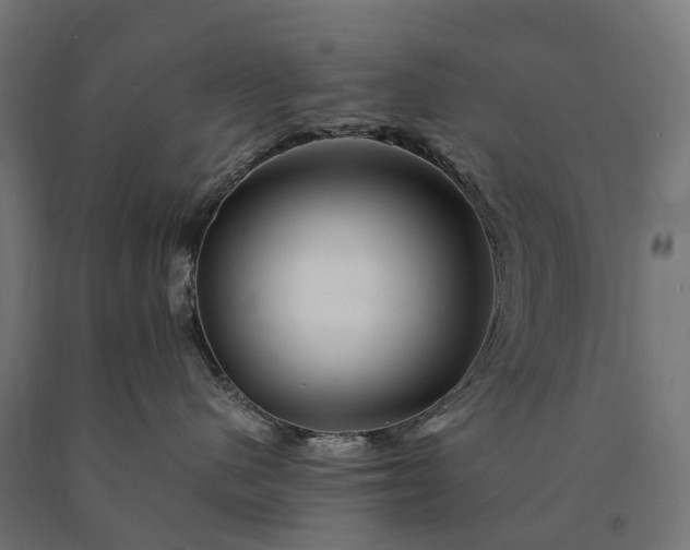 X0000090760480200708031634