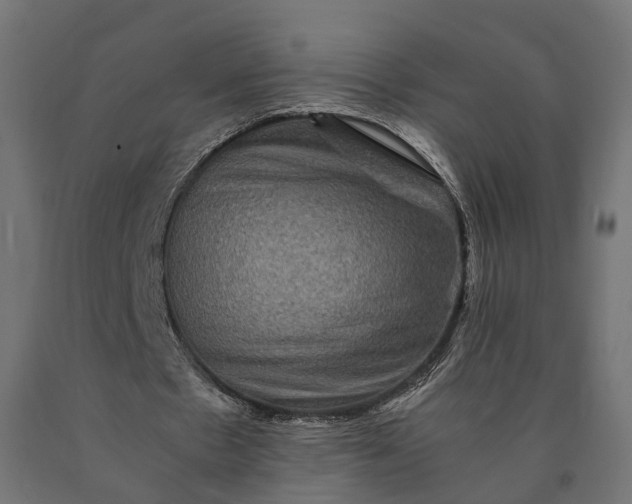 X0000090760481200708031633