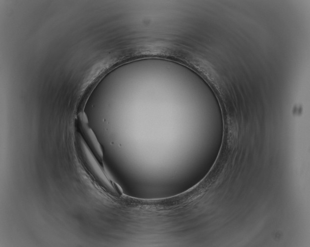 X0000090760482200708031633