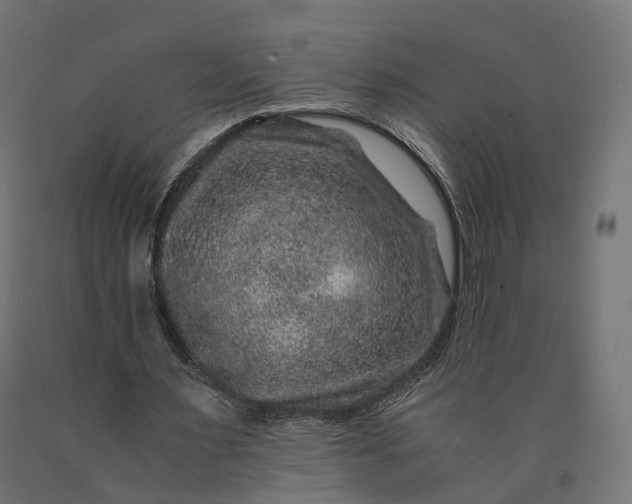 X0000090760483200708031633