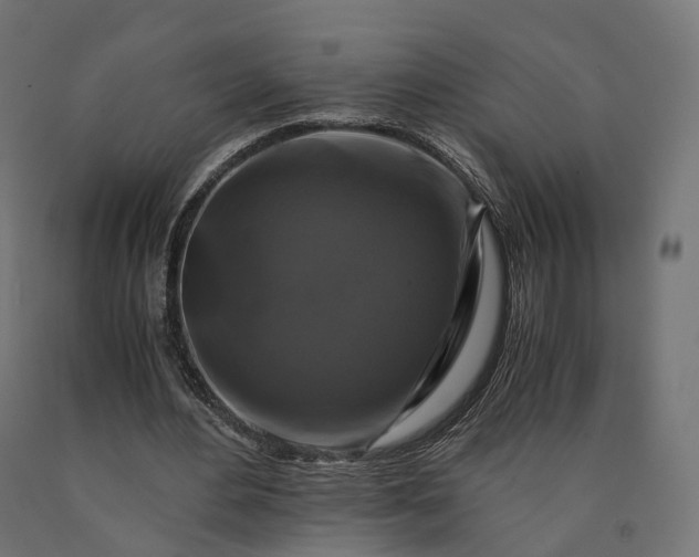 X0000090760484200708031633