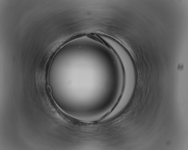 X0000090760485200708031633