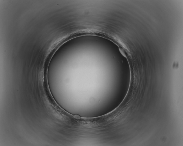 X0000090760486200708031633