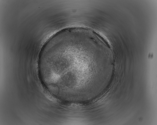 X0000090760487200708031633