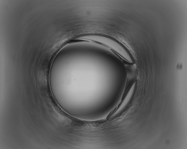 X0000090760489200708031633