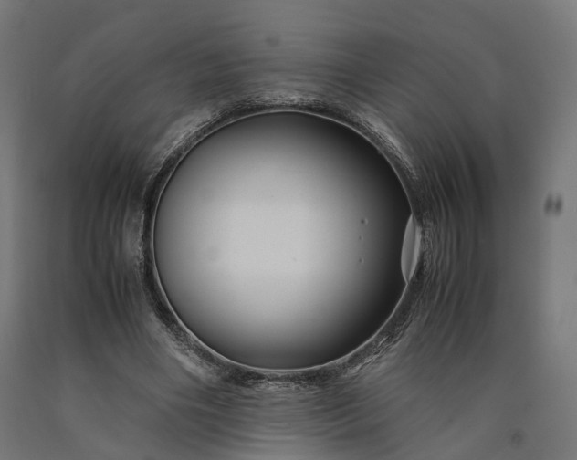 X0000090760490200708031633