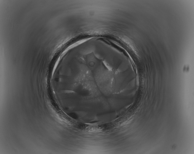 X0000090760491200708031633