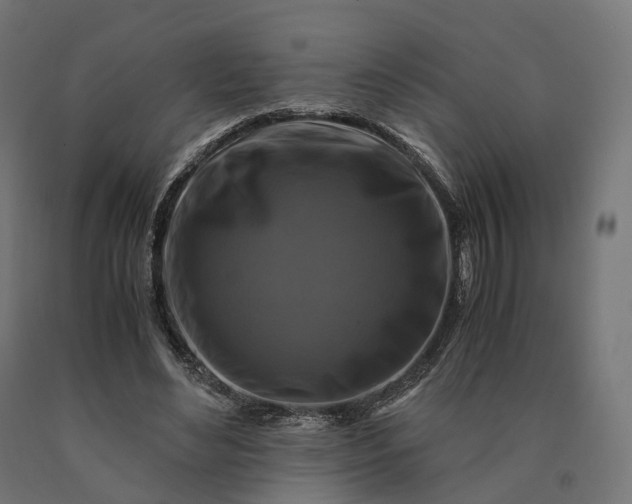 X0000090760492200708031633