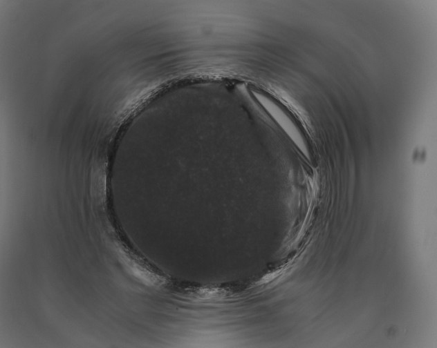 X0000090760493200708031633