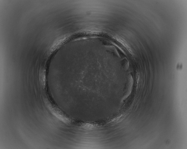 X0000090760494200708031633