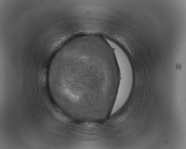 X0000090760495200708031633