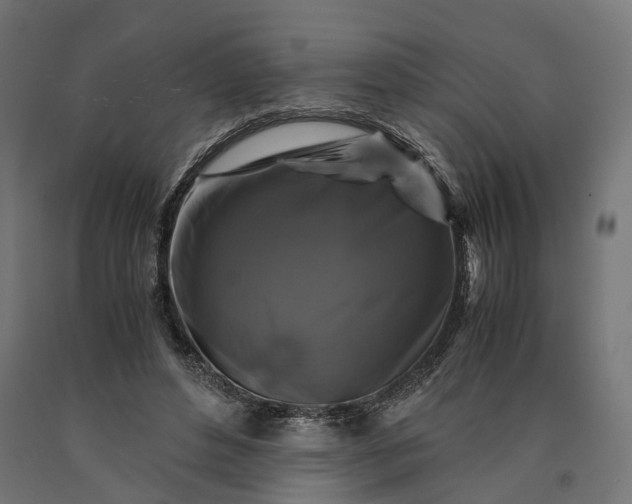 X0000090760496200708031633