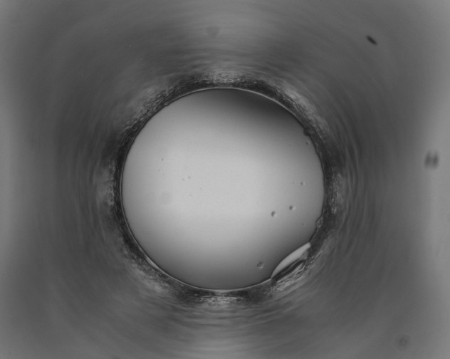 X0000090760497200708031633