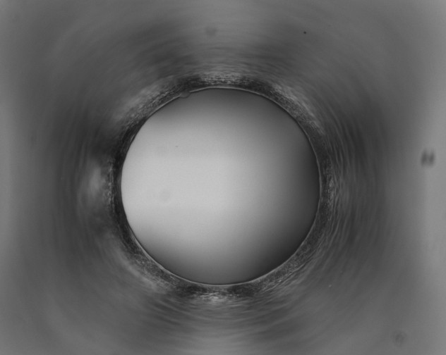 X0000090760498200708031633