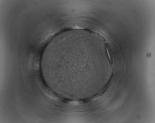 X0000090760499200708031633