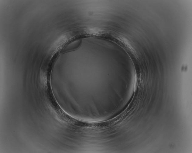 X0000090760500200708031633