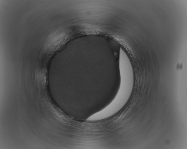 X0000090760501200708031633